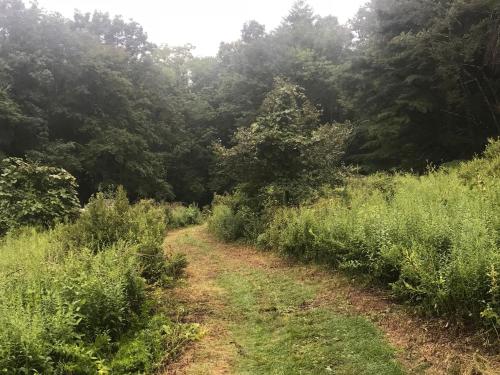 Tentrr - Hidden Creek – Photos 5