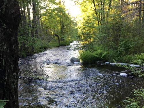 Tentrr - Crooked Run – Photos 3