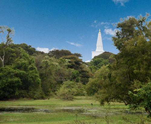 un gran campanario blanco de una iglesia a lo lejos en Dula Lake Resort, en Anuradhapura