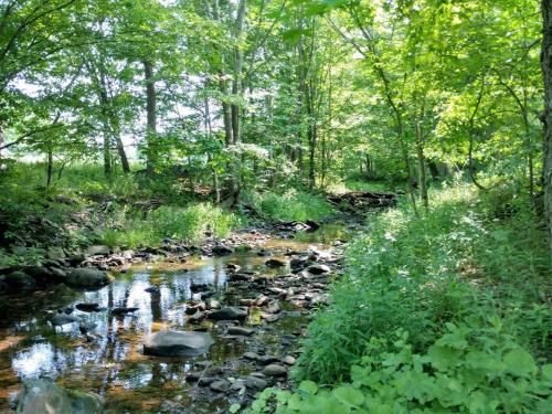 Tentrr - Bearkill Brook Campsite – Photos 2