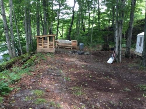 Tentrr - Bearkill Brook Campsite – Photos 5