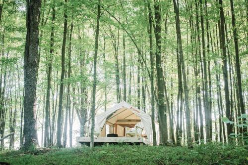 Tentrr - Hollow Tree Camp – Photos 2