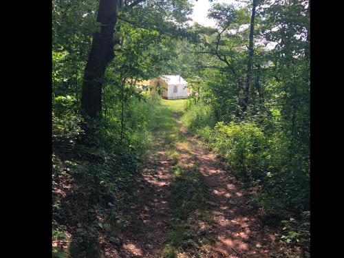 Tentrr - Camp Sugarbush – Photos 4