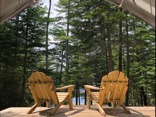 Tentrr - Whispering Pines – Photos 2