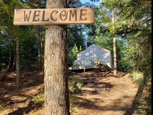 Tentrr - Whispering Pines – Photos 3