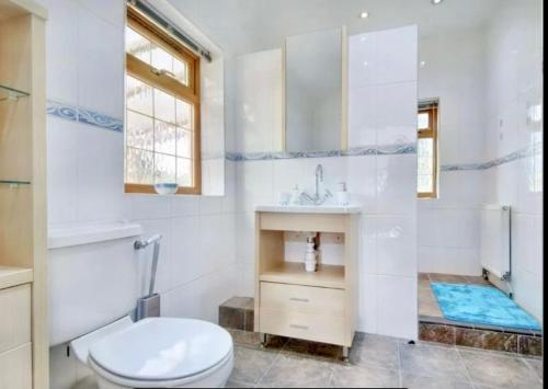 a bathroom with a toilet and a sink and a shower at Mountain View Cottage, Hot Tub , Stunning Views in Llanhamlach