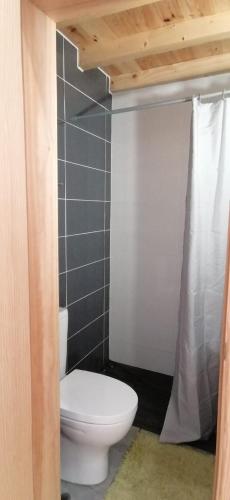 a bathroom with a toilet and a shower curtain at CASA DO AVÔ FILIPE in Ladeira