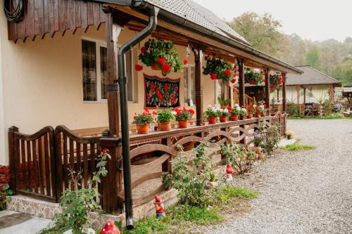 a house with potted plants and flowers on it at Casa Pintea de Sub Coastă in Breb