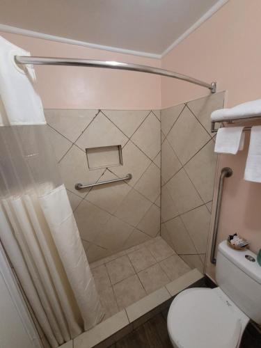 a bathroom with a shower with a toilet at Economy Inn Sylva in Sylva