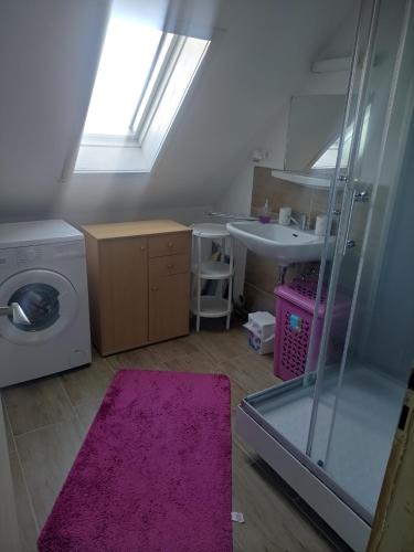 a bathroom with a washing machine and a sink at Zimmer Veljanovski in Blaufelden
