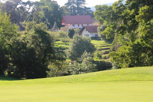 a house on a hill next to a green field at Bio Quinta do Pantano, Agro Turismo in Santo António da Serra