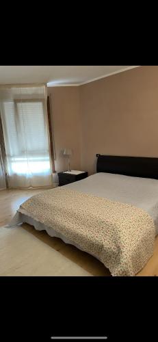 een slaapkamer met een groot bed en een raam bij Charlotte room in Bassano del Grappa