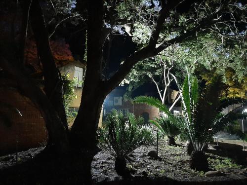 Taman di luar STORGE LODGE AND EVENTS VENUE