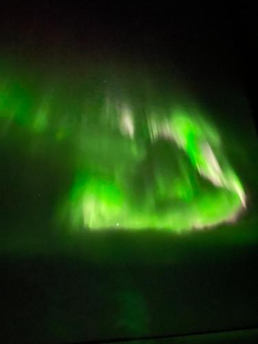 an image of the northern lights in the sky at Ylläsjärvi iglu in Ylläsjärvi