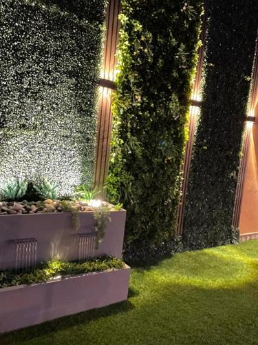 a garden with a wall with plants and lights at شاليه الخفجي in Al Khafji