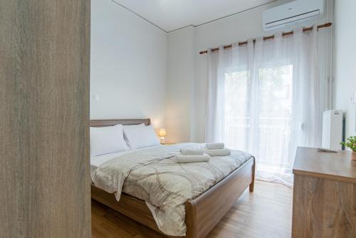 Comfy Sweet Home