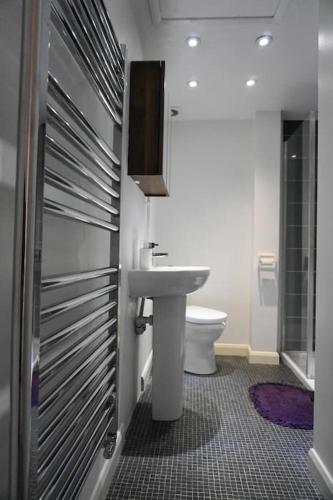a bathroom with a sink and a toilet at Lovely & bright 1 bedroom apartment near the beach in Brighton & Hove