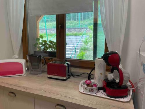 a kitchen counter with a toaster and a toaster and a toaster at Srní- Červený byt/ dvojdomek u hotelu Vydra in Srní