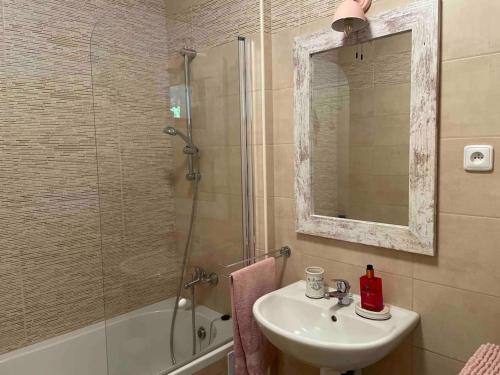 a bathroom with a sink and a shower and a mirror at Srní- Červený byt/ dvojdomek u hotelu Vydra in Srní