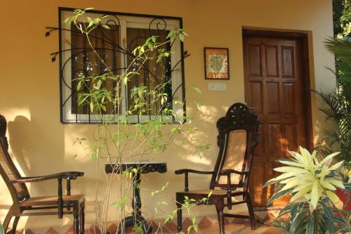 two chairs and a mirror on a wall with plants at Zenobia Leisure in Anjuna