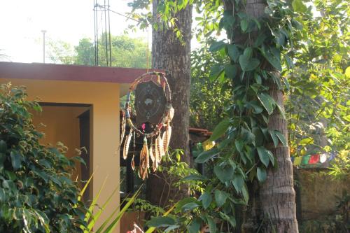 a house in the middle of a tree at Zenobia Leisure in Anjuna