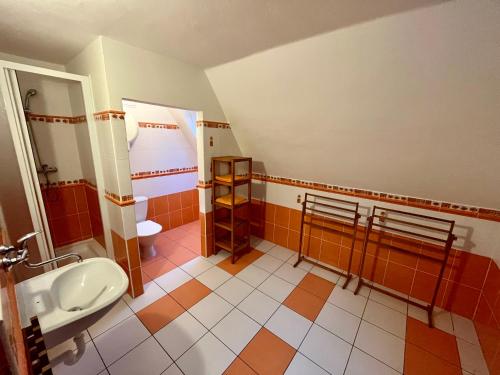 ein Bad mit einem Waschbecken und einem WC in der Unterkunft Penzion Horal in Dolní Morava
