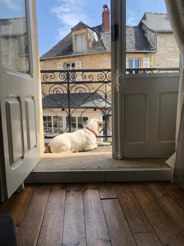 a dog sitting in front of an open door at Fleur d’Iris in Perpezac-le-Blanc