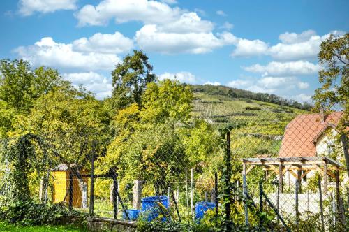 a fence in a field with a hill in the background at Studio lumineux en rez-de-jardin situé sur la route des vins d'Alsace in Ammerschwihr
