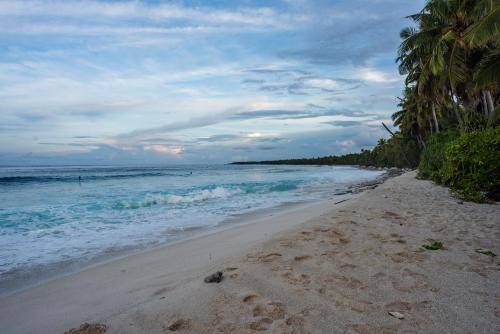 a sandy beach with palm trees and the ocean at Isle Royal Inn in Fuvahmulah