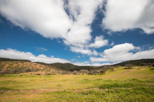a green field with a blue sky and clouds at Hotel Boutique BC Wine Casablanca in Casablanca
