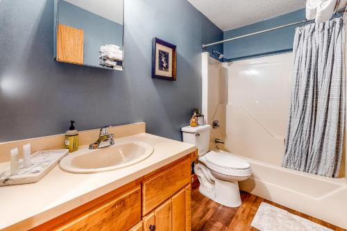a bathroom with a sink and a toilet and a tub at Mountain View Home in Bartlett