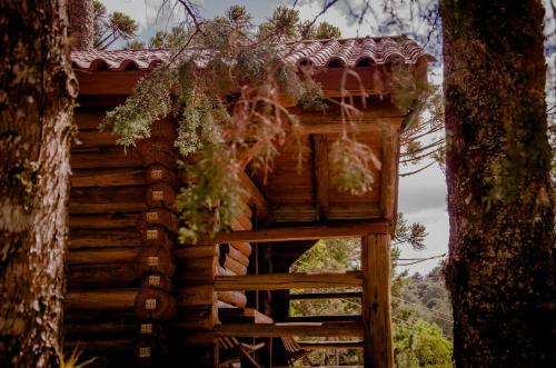 a tree house in the woods with a window at Refúgio do Caracol Pipas e Chalés in Canela