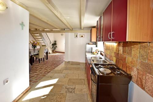 a kitchen with a stove and a counter top at Villa Fragola in Motovun