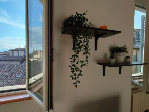 Il cielo di Raffaello – Photos 4