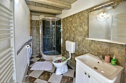 a bathroom with a toilet and a shower and a sink at Villa Luna in Motovun