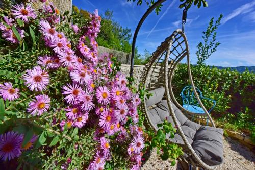 a bunch of purple flowers on a swing at Villa Luna in Motovun