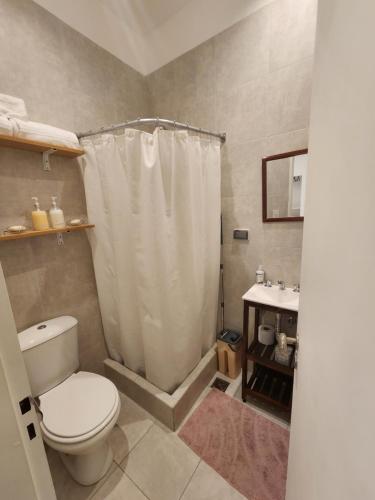 uma casa de banho com um WC, um chuveiro e um lavatório. em Apartamento centrico em Buenos Aires