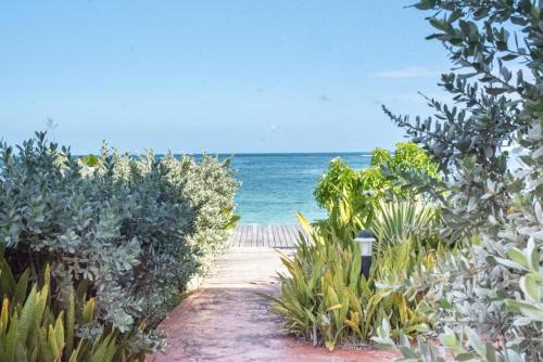 a path to the beach with the ocean in the background at PASHA - Ocean view in Sainte-Anne