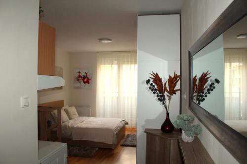 諾維薩德的住宿－Downtown Apartment，一间卧室配有一张床和镜子