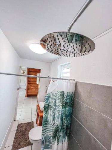 a bathroom with a toilet and a light at Bungalow Bois Détente in Capesterre-Belle-Eau