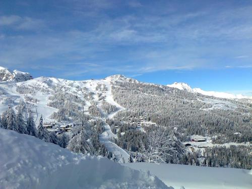 a mountain covered in snow with trees and buildings at Ferienwohnungen Forellenhof Waldner in Gundersheim