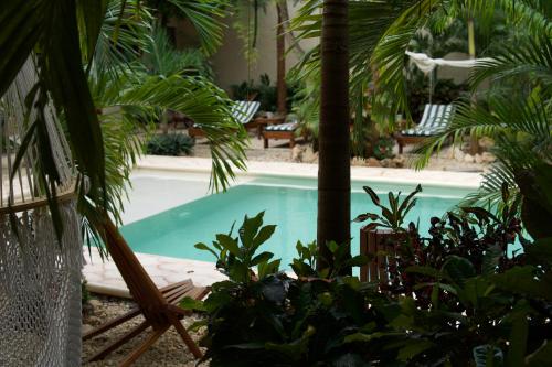 a swimming pool in a garden with palm trees at Aldea San Lam - Oasis Of Tulum in Tulum