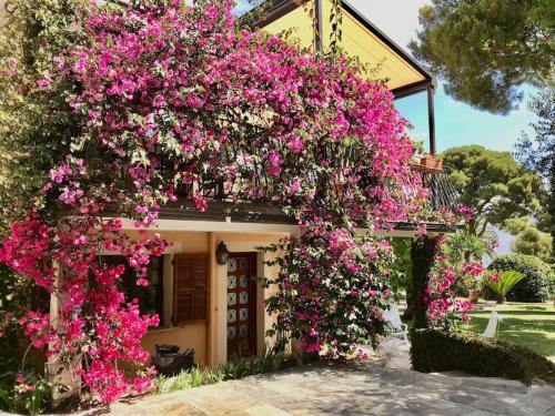 a bunch of pink flowers on the side of a house at Charming Villa Saint-Jean-Cap-Ferrat in Saint-Jean-Cap-Ferrat