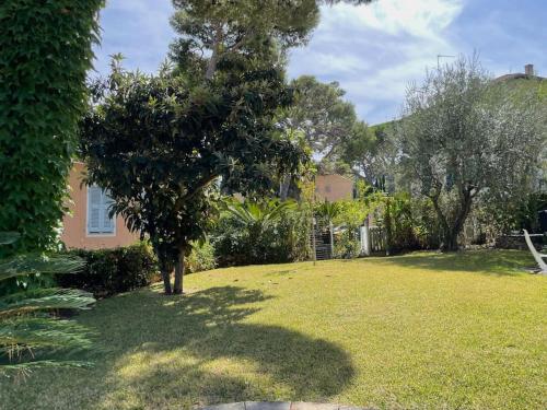 a garden with a tree in the middle of a yard at Charming Villa Saint-Jean-Cap-Ferrat in Saint-Jean-Cap-Ferrat