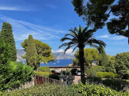 a palm tree in a garden with a view of a lake at Charming Villa Saint-Jean-Cap-Ferrat in Saint-Jean-Cap-Ferrat