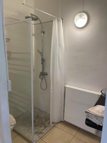 La salle de bains est pourvue d'une douche avec une porte en verre. dans l'établissement La Colline Business & Tourisme, au Lamentin