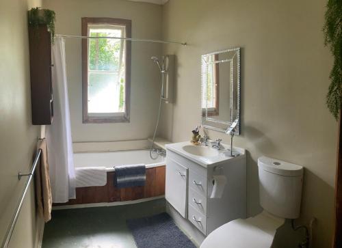 a bathroom with a toilet and a shower and a sink at Okato Homestay in Okato