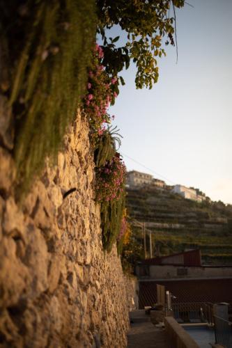 a stone wall with flowers growing on it at Lena Magda B&B in Furore