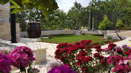 Zahrada ubytování Apartment Canaria