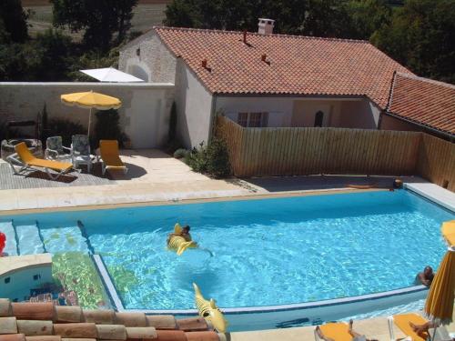 - une piscine avec un chien dans l'eau dans l'établissement Gîte familial avec piscine chauffée, jardin clos, équipement bébé, au cœur d'une propriété viticole. - FR-1-653-70, à Saint-Cybardeaux